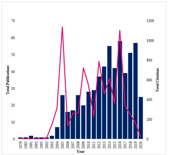 Total Publications and Citations by Year