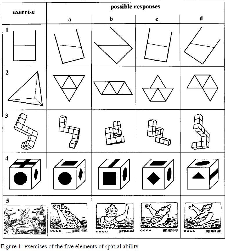 Exercises of the five elements of SA, Maier (1998)