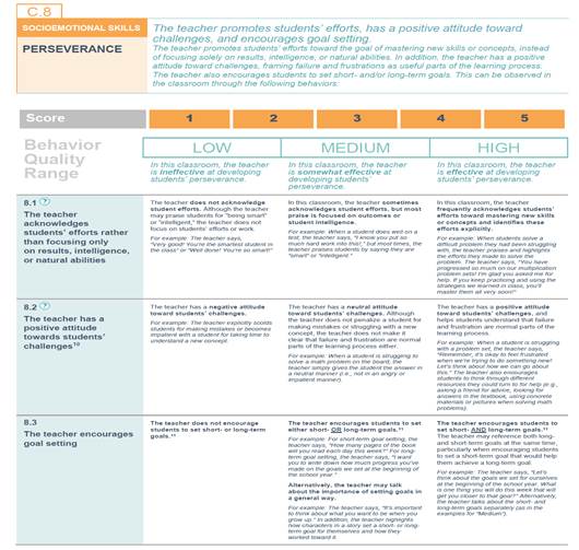 Social abilities area – Perseverance, platform activity