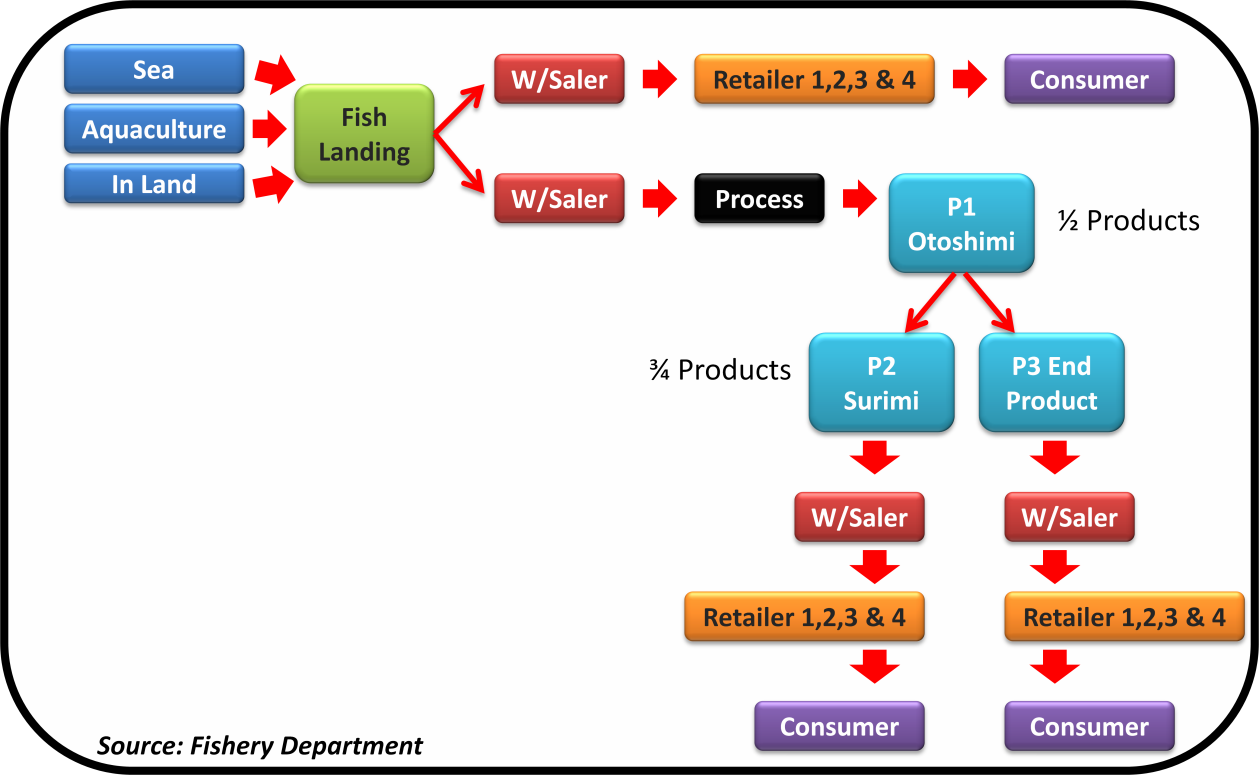 The Halal fish supply chain model