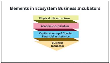 Elements in ecosystem business incubator