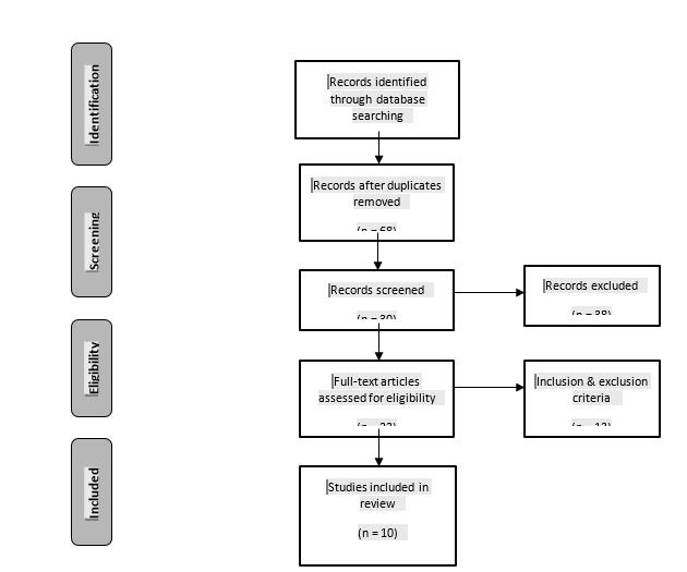 Flow diagram for the scoping review