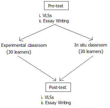 Procedures of the VAW Method Program