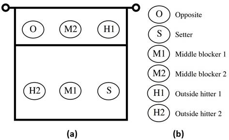 Basic positions [(a)] and their roles [(b)] in volleyball (MIT Women's Volleyball Club, 2008).