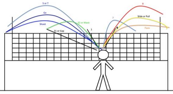 A volleyball court’s dimensions 