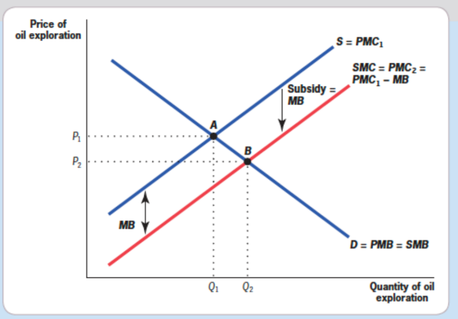 Fuel Subsidy - Source: Gruber 2019