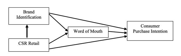 Conceptual Framework