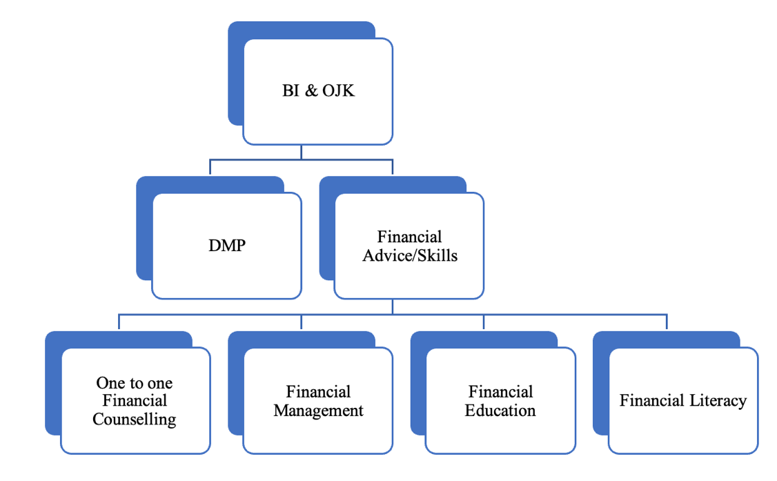 DMP and Financial Advice or Skills (Indonesia)