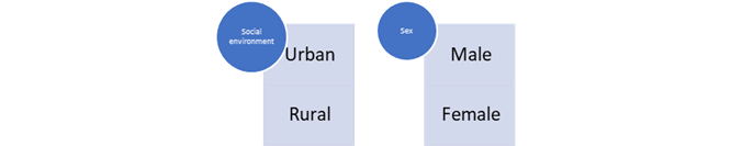 The quantitative evaluation - Indicators