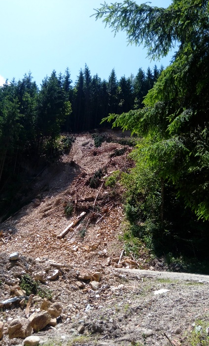 [Landslide body. Valea Ierii Commune (photo by C.-D. Ursu,
        2019)