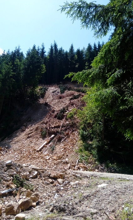 [Landslide body. Valea Ierii Commune (photo by C.-D. Ursu,
        2019)