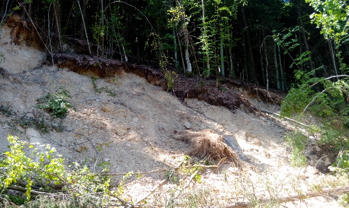Head scrap of the landslide Commune (photo by C.-D. Ursu,
        2019) 