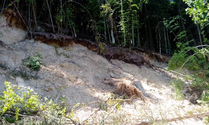 Head scrap of the landslide Commune (photo by C.-D. Ursu,
        2019) 