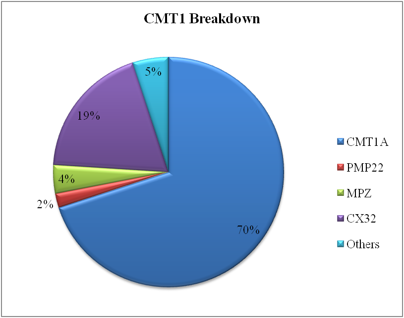 Subdivision of CMT1 disease