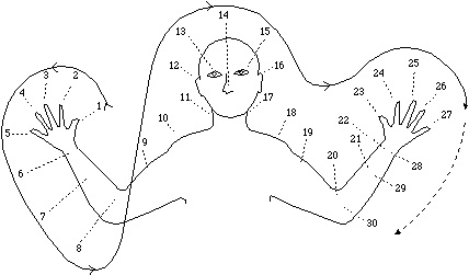 Oksampin counting system