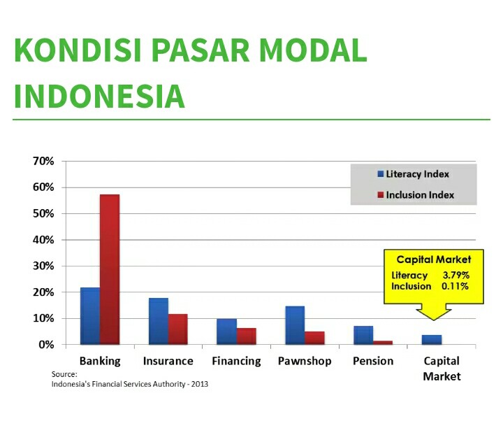 Literacy Index of Capital Market