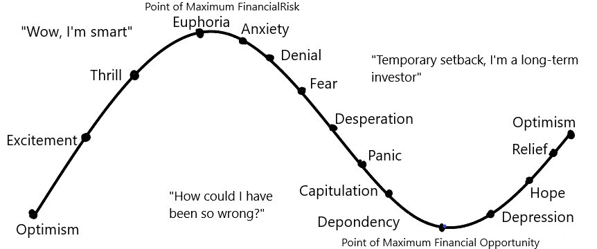 Cycle of Market Emotions (
Hannon, 2009)