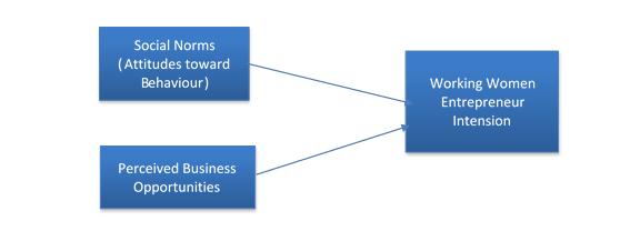 Conceptual framework