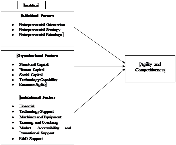 Conceptual framework