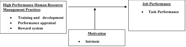 Conceptual Framework