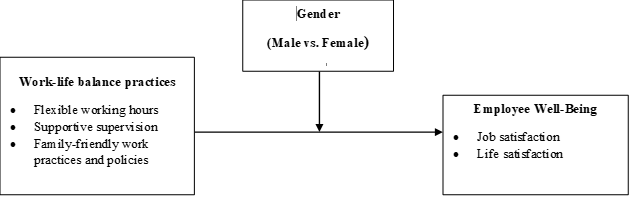 Proposed conceptual framework