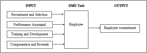 DEA Framework for Achieving Employee Efficiency through HRM Practices