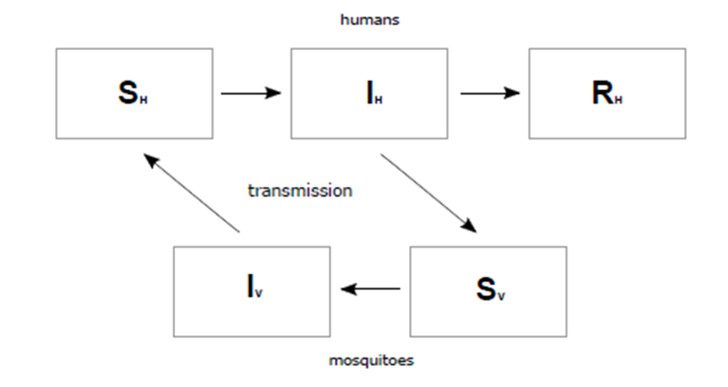 Structure of SIR-SI Basic Model (
								Boret, Escalante, & Villasana, 2017)
							