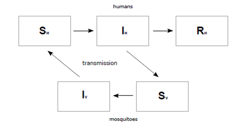 Structure of SIR-SI Basic Model (
Boret, Escalante, & Villasana, 2017)