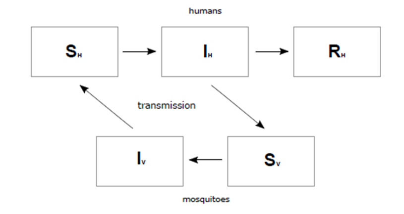 Structure of SIR-SI Basic Model (
								Boret, Escalante, & Villasana, 2017)
							