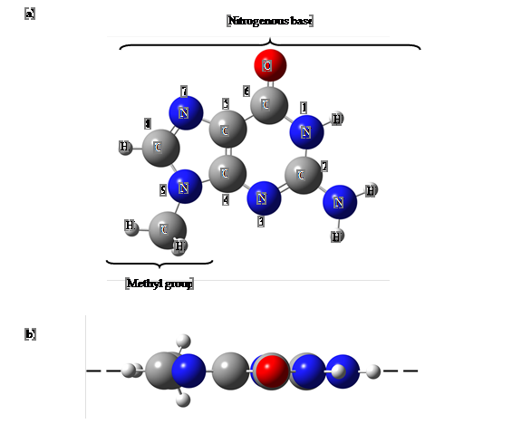 Guanine nucleobase structure. a) in the nucleobase conformation, a methyl group is attached to the N9 atom. b) guanine base ring has planar geometry. The red color represents oxygen; blue: nitrogen, gray: carbon, and white: hydrogen