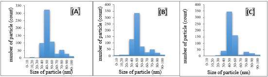 Histogram for particle size distribution/number of AuNPs attachment on mica surface functionalization using 70-150 kDa molecular weight of 0.01% PLL