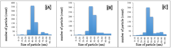Histogram for particle size distribution/number of AuNPs attachment on mica surface functionalization using 150-300 kDa molecular weight of 0.01% PLL