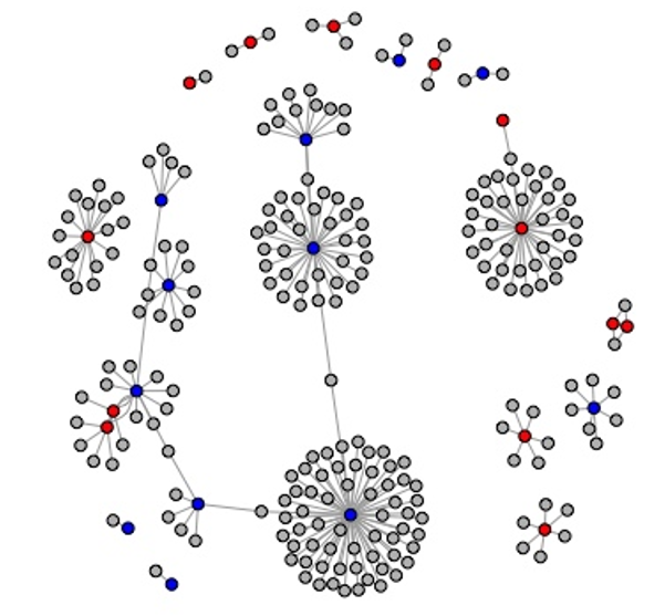 Structure of connections between anti-Russian- rhetoric online groups (red points), pro-Russians rhetoric online groups (blue points) and neutral rhetoric online groups (grey points). Source: authors (software VKR library in R was used to develop the figures)