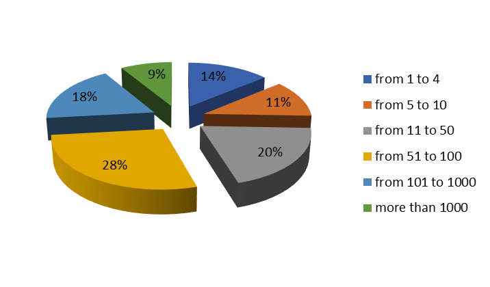 Grouping of enterprises – survey participants by size