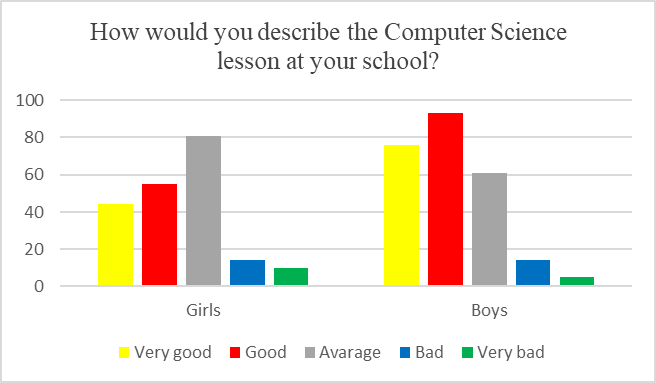 How would you describe the Computer Science lesson at your school?