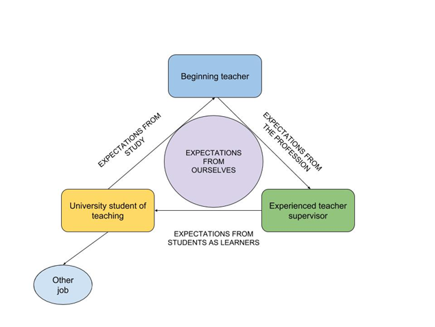 Expectations of the beginning teacher in the context of the professional identity
      development