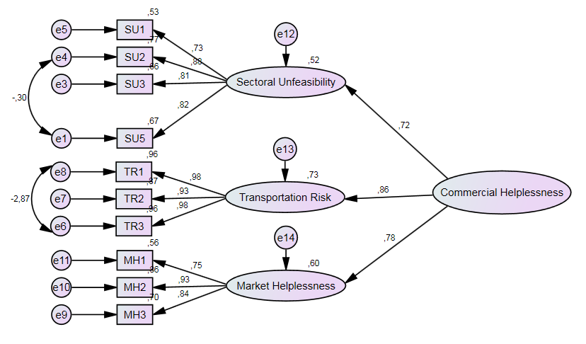 Final structural equation model with all coefficient values