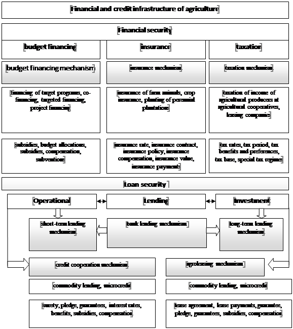Functional structure of financial and credit infrastructure of agriculture) (Shkarupa, 2017)