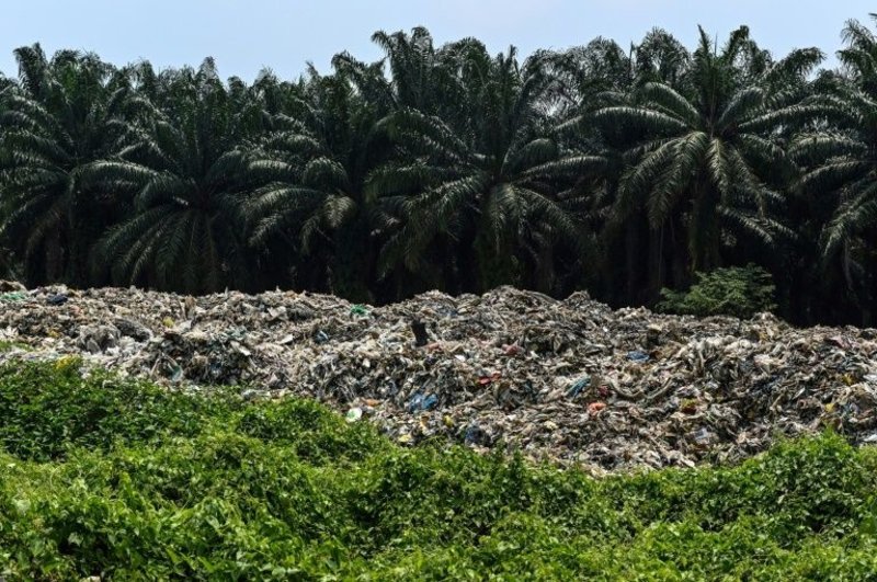 Accumulation of plastic waste next to palm oil trees at an uninhabited processing plant located at the outskirts of Kuala Lumpur.
