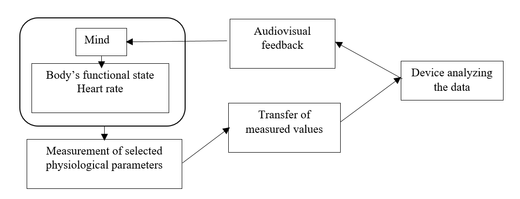 Schematic representation of the biofeedback method
