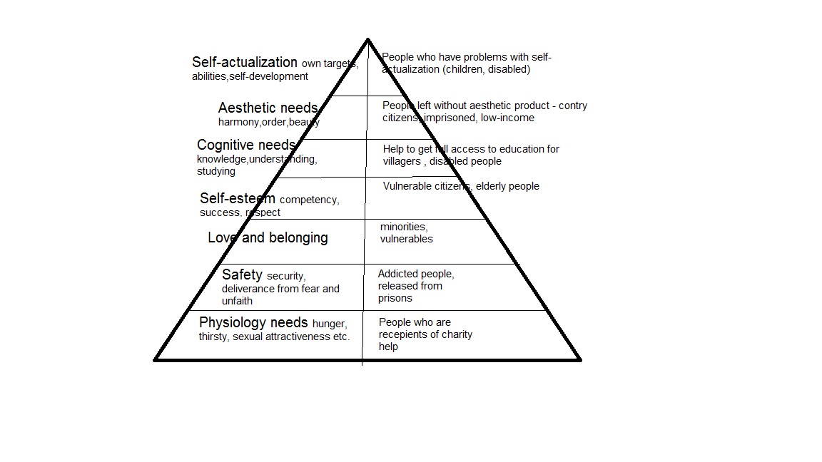 Results of socially-oriented NPO’s activity