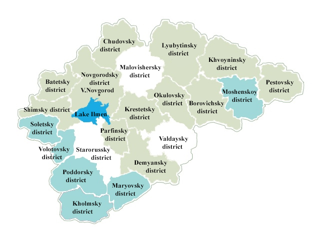 A cartogram of the distribution of municipalities of the Novgorod region by type of demographic environment