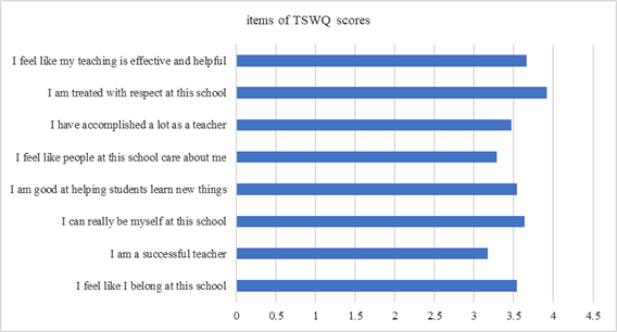 Scores of TSWQ items in school