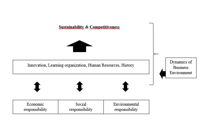 Theoretical framework for organizational competitiveness and sustainability