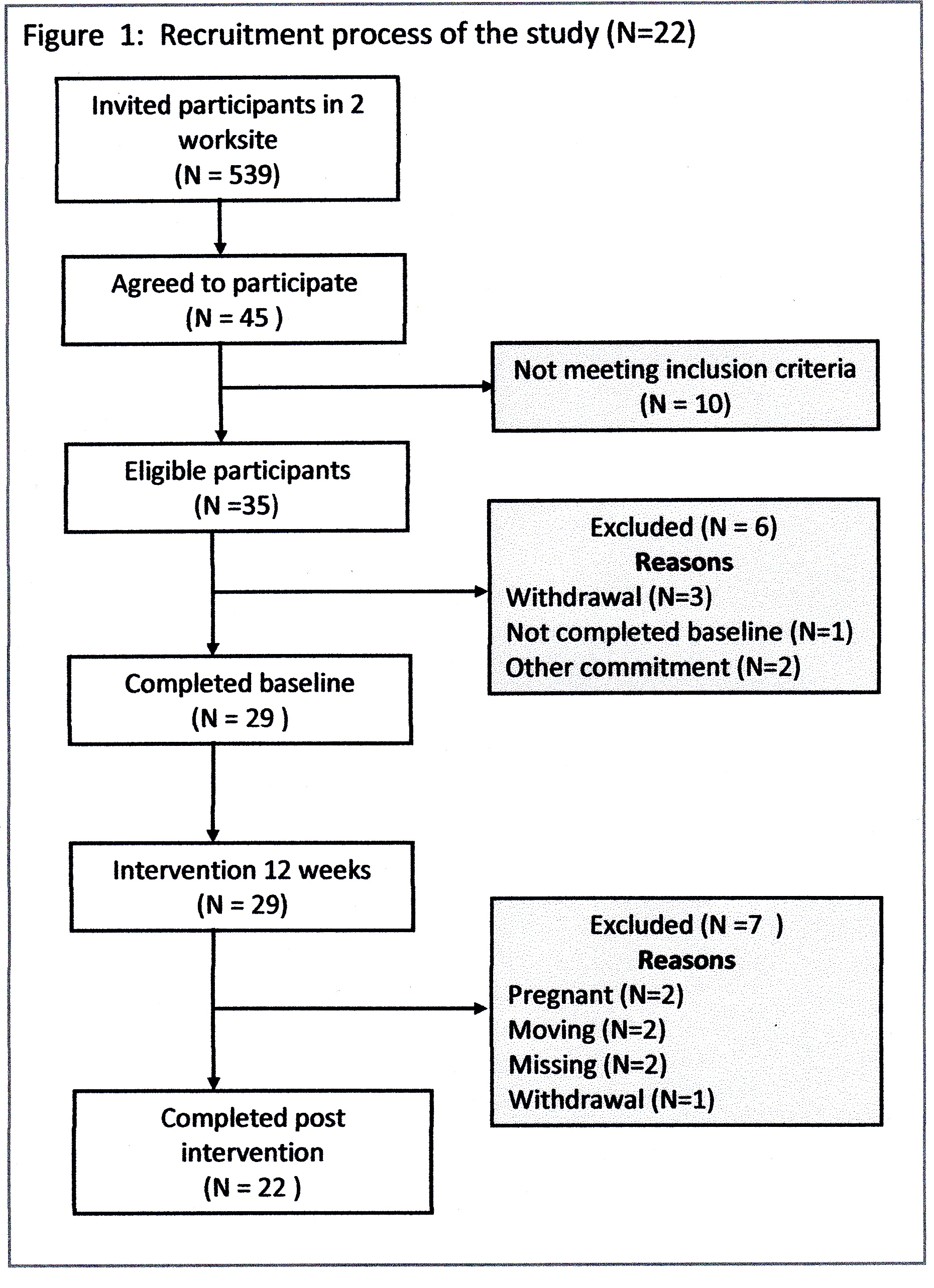 The recruitment process of the study