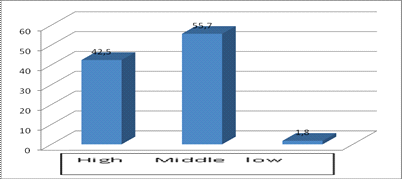 Total investigated participants (in %) with the different level of 