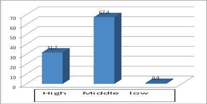 Total investigated participants (in %) with the different level of professional 