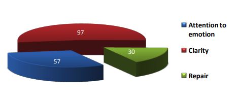 97Mean of TMMS questionnaire