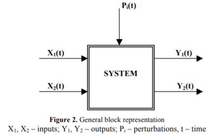 General block representation X1, X2 – inputs; Y1, Y2 – outputs; Pi – perturbations, t – time