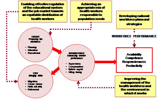 Fig. 4. Stages of health workforce development (WHO, 2006). 
